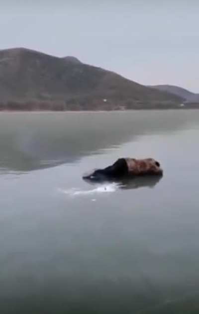 Fishing like a real man