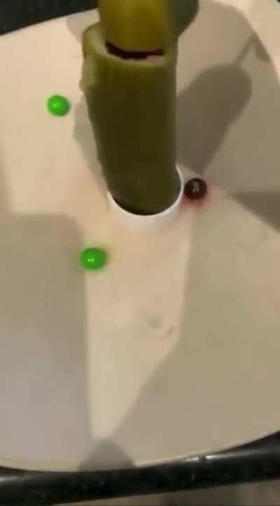 Capriskicle