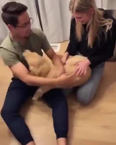 The happiest of boys