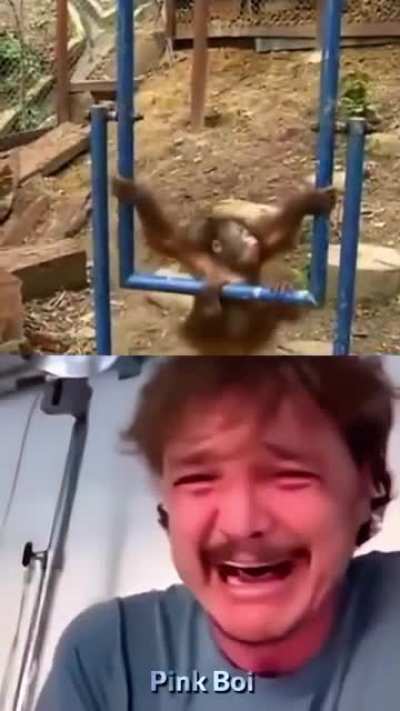 Modo llorando mono llorando