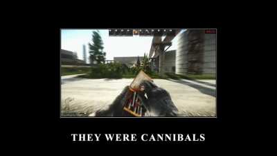 Be careful guys. I almost got taken out by some cannibals by the customs extract "ZB-1011"