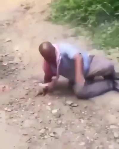 Xd