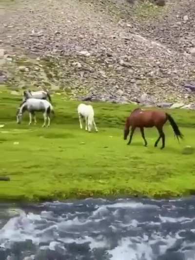 Afghanistan