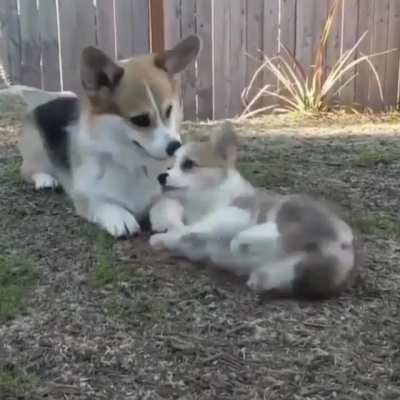 Sneak attack