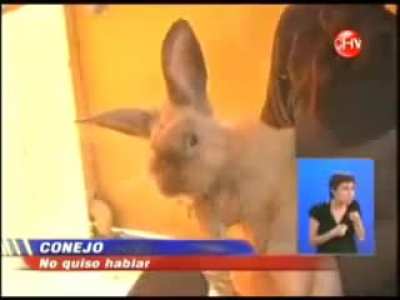 5 a&ntilde;os de estudiar periodismo para esto