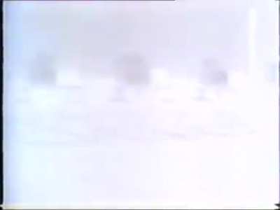 Nukes test on pigs