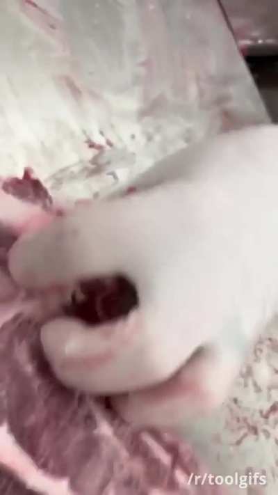 Butchering lamb on a bandsaw