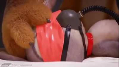 Tigress bdsm Judy