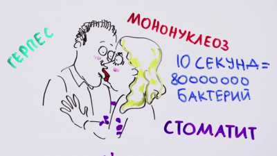 Зачем мы целуемся? Вы когда-нибудь задумывались над этим?&mdash; Научпок