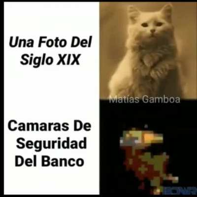 XD