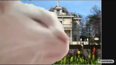 POV: In de wachtrij bij Villa Volta