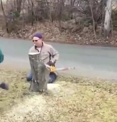 Taking down the cut stem