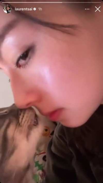 Cat went for it