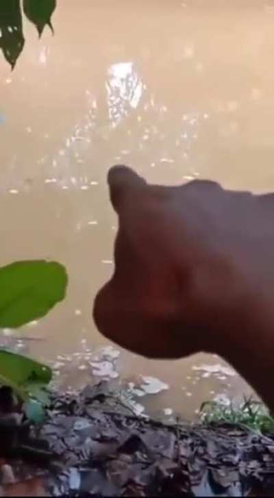 Stay away from the bubbles guys. (Link to op in the comment section)