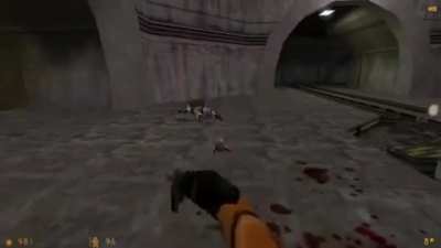 Half life 1