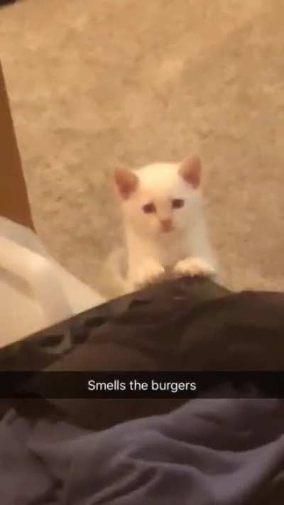 Illegally Smol inmate attempts to escape prison to obtain hamburgers