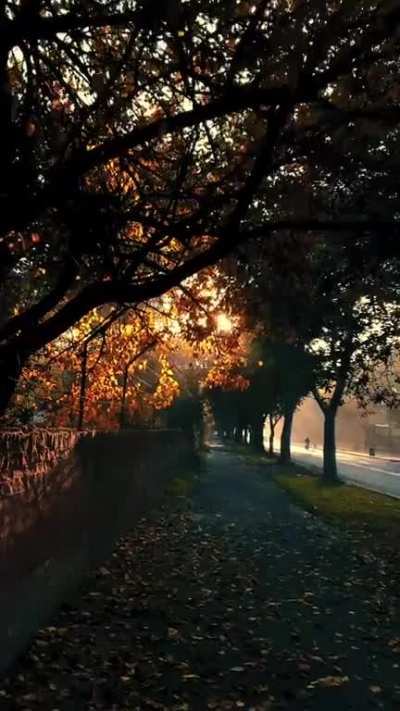 Beautiful golden light!