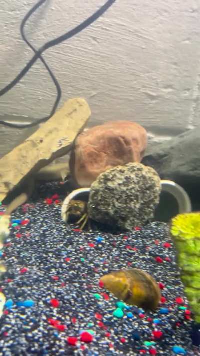 Rate my setup