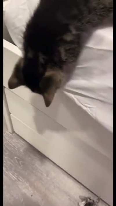 Bet you won&rsquo;t do it pusyyyy