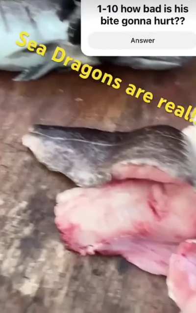 This is really the only place I could think to post this and it needs to go somewhere