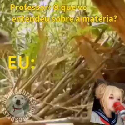 &Eacute; isso q eu entendo