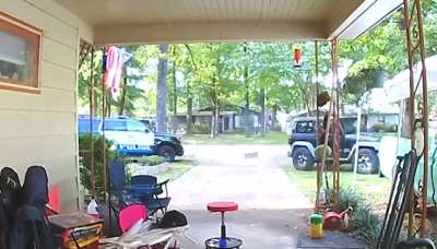Alabama man tries to run over off duty police officer in his front yard