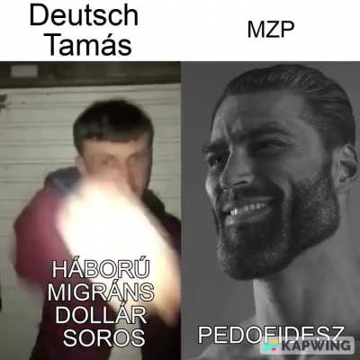 MZP VS DT