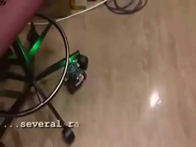 A robot to be controlled by neurons from a rat's brain. This is the first machine that can truly think and learn.
