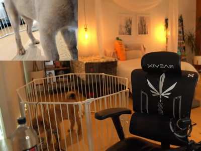 Rae's stream fit