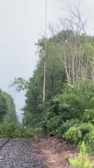 Пилолёт