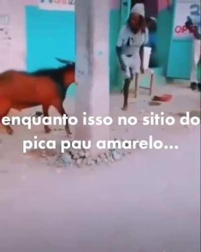 goiabada de marmelo