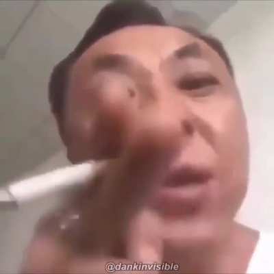 Gato