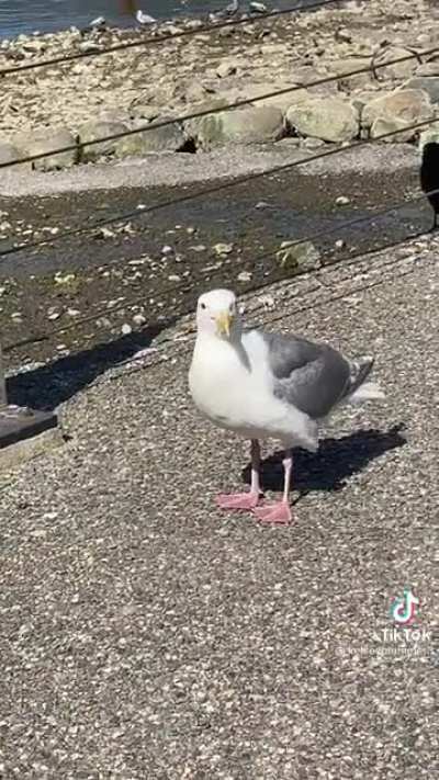 My guy thought he was done for