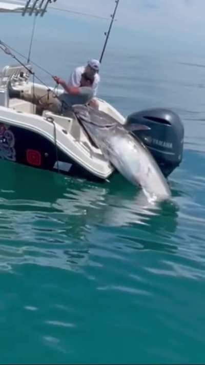 Thatâs gigantic!