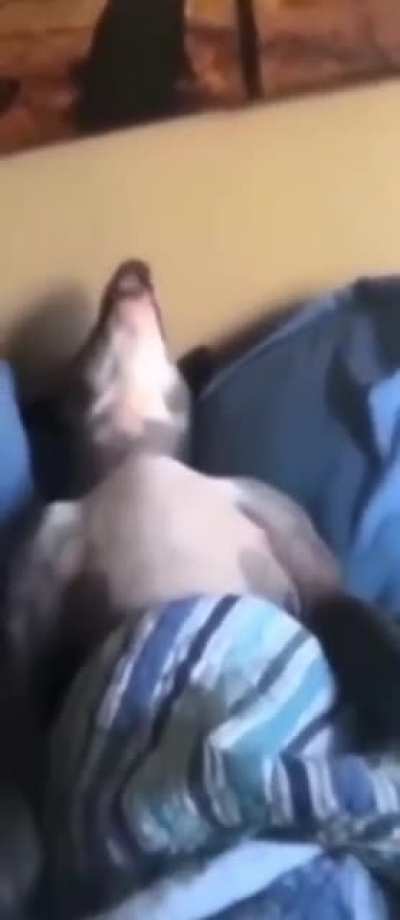 how i sleep knowing i have 800 hours in tf2 yet still regularly get dominated by lime sniper mains in pubs