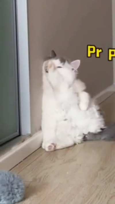 Hot