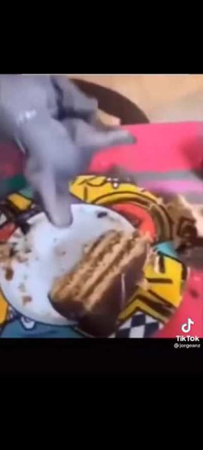 Se comi&oacute; el pastel jaja