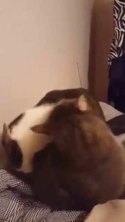 Backstabbed