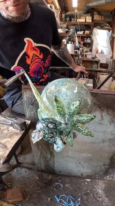 Octopus part 2