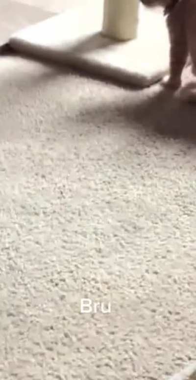 What I&rsquo;m not allowed to sneeze?