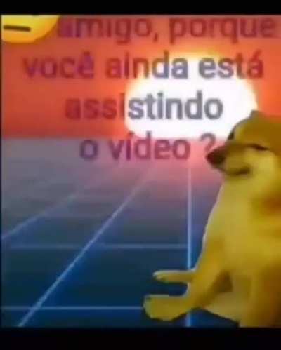 Vida