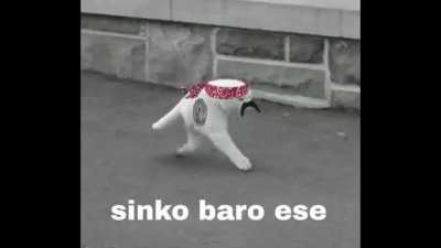 sinko peso