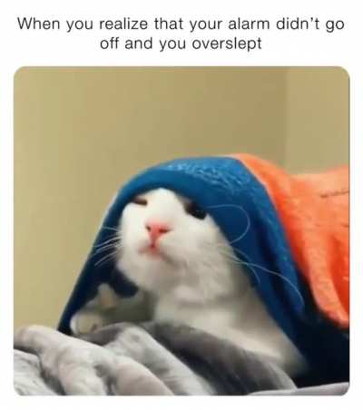 Me_irl