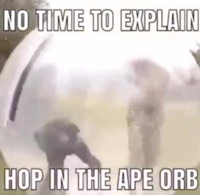 THERE IS NO TIME!!