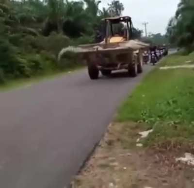 Buaya Darat