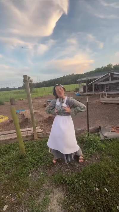 Amish Paradise
