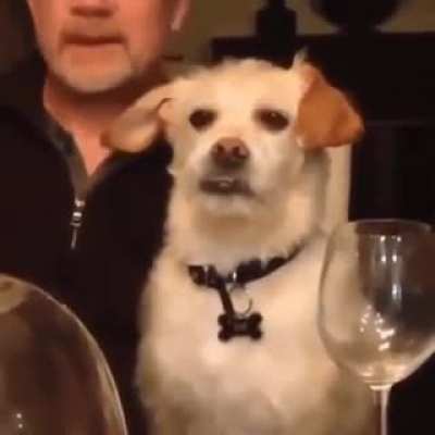 &ldquo;Oh god, Dave's telling this story again.&rdquo;