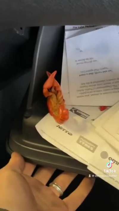 Just your average glovebox crawfish in this Nissan Rogue that was in the shop today&hellip;