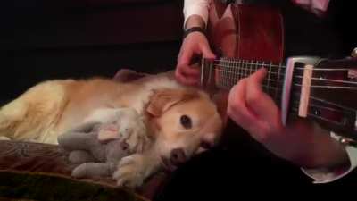Musica?