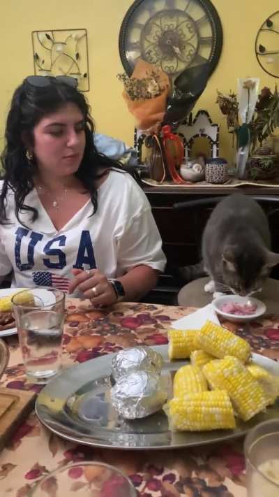 My uncle&rsquo;s cat has his own seat at the dinner table